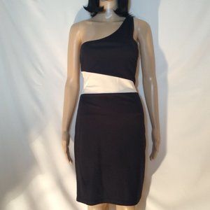 Black & Tan Dress